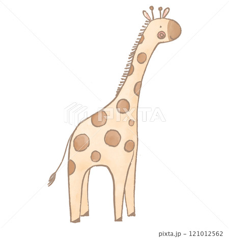 Beautiful stock illustration with cute giraffe. Safari animal clip art. Isolated naive style drawing. Childish hand drawn painting. Beautiful stock illustration with cute giraffe. Safari animal clip art. Isolated naive style drawing. Childish hand drawn painting. 121012562