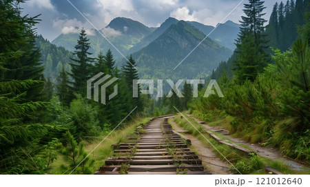 A scenic mountain trail with railway sleepers winds through a dense pine forest, creating an enchanting path. 121012640