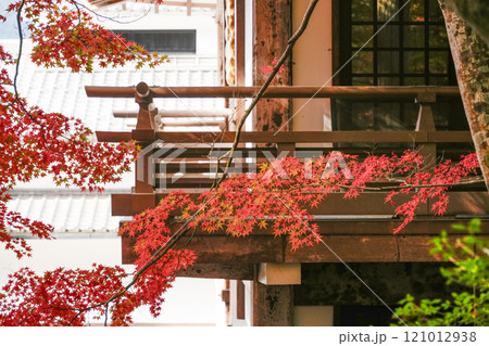 秋の京都大原 三千院 円融房とモミジ 秋の京都大原 三千院 円融房とモミジ 121012938