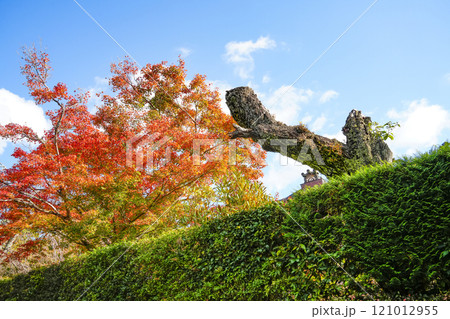 秋の京都大原　三千院境内 121012955
