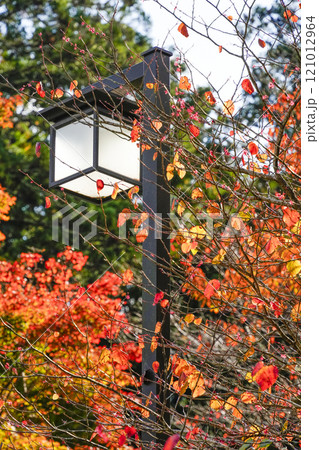 秋の京都大原　三千院境内 121012964