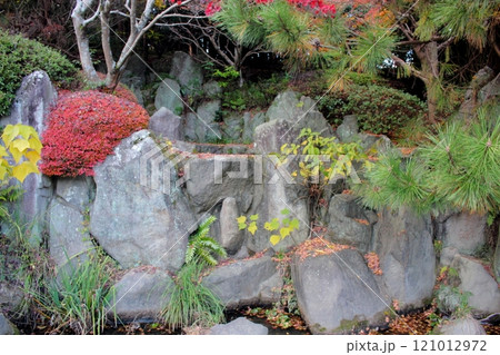北九州市文化記念公園の日本庭園 (滝)【秋の紅葉】 121012972
