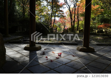 晩秋の七沢森林公園 121013030