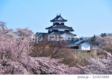 桜景 白河小峰城 桜景 白河小峰城 121013668