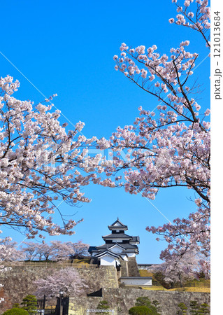 桜景　白河小峰城 121013684