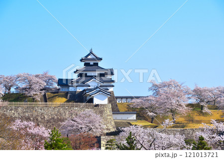 桜景　白河小峰城 121013721