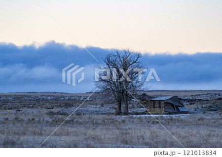 Abandoned hut next to bare tree in landscape covered with frost Abandoned hut next to bare tree in landscape covered with frost 121013834