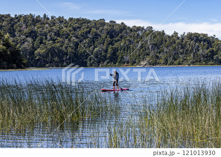 Man on stand up paddleboard (SUP) in lake with reeds 121013930