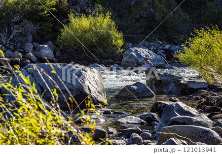 Fly fisherman casting for wild trout on Traful River 121013941