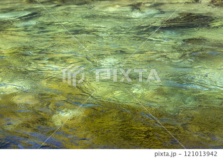 Green surface of shallow river Green surface of shallow river 121013942