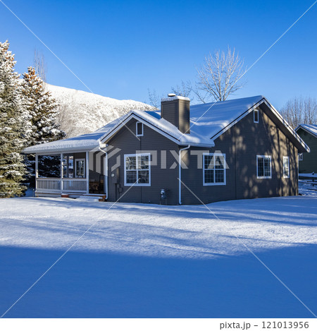 Single bare tree in snow covered field Single bare tree in snow covered field 121013956