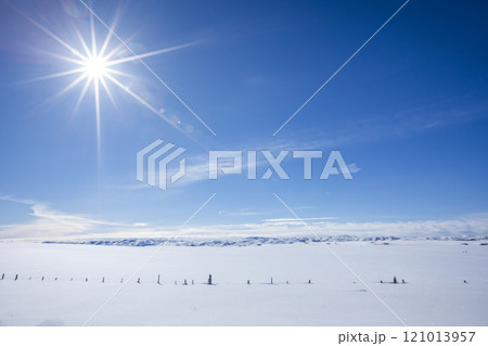 Sun on blue sky over snow covered pastures 121013957