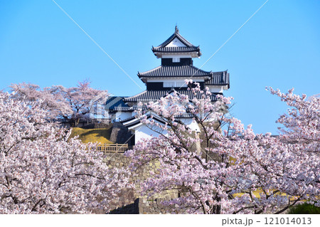 桜景 白河小峰城 桜景 白河小峰城 121014013