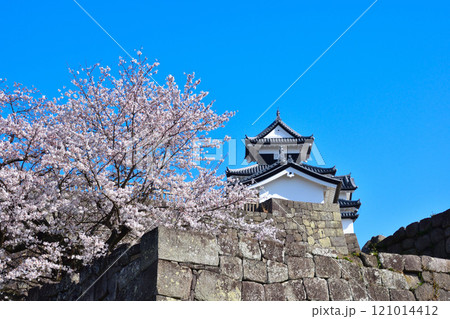 桜景　白河小峰城 121014412