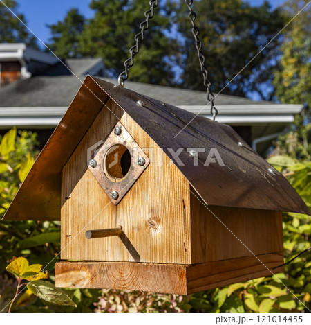Wooden birdhouse in garden on sunny day 121014455