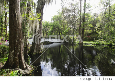USA, South Carolina, Charleston, White Bridge at Magnolia Plantation 121014543