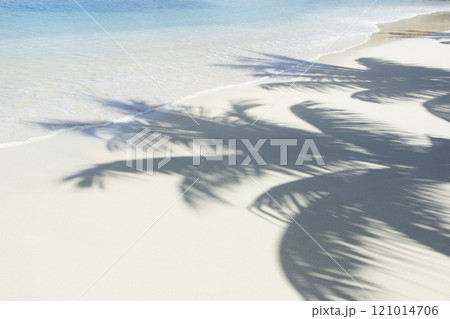 USA, United States Virgin Islands, St. John, Shadows of palm trees on white sand beach USA, United States Virgin Islands, St. John, Shadows of palm trees on white sand beach 121014706