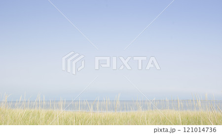 USA, M, Nantucket, View of Nantucket Sound from Madaket with grass in foreground 121014736