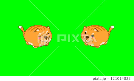 Smiling fluffy Cat in pixel art Smiling fluffy Cat in pixel art 121014822