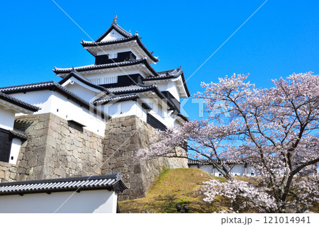 桜景 白河小峰城 桜景 白河小峰城 121014941