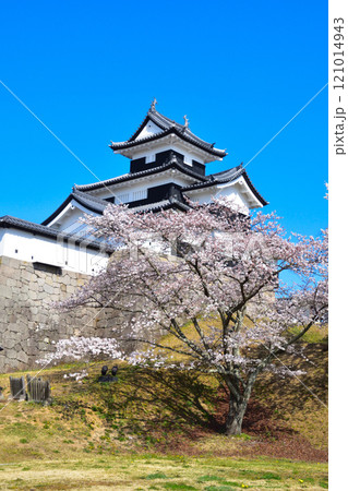 桜景　白河小峰城 121014943
