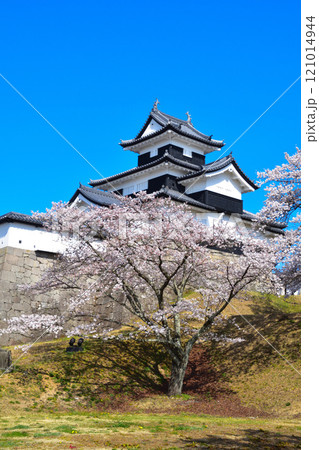 桜景 白河小峰城 桜景 白河小峰城 121014944