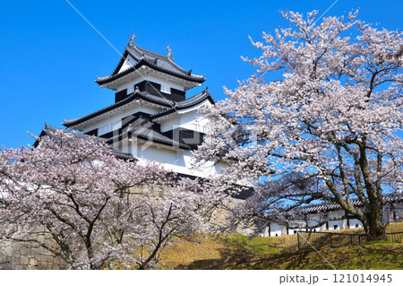 桜景　白河小峰城 121014945