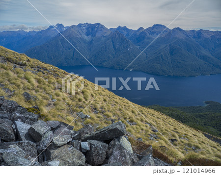 Fjord surrounded by green mountains in Fiordland National Park 121014966