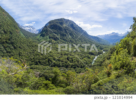 Green forested hills in Fiordland National Park Green forested hills in Fiordland National Park 121014994