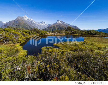 Small lake and mountains in Fiordland National Park 121014996