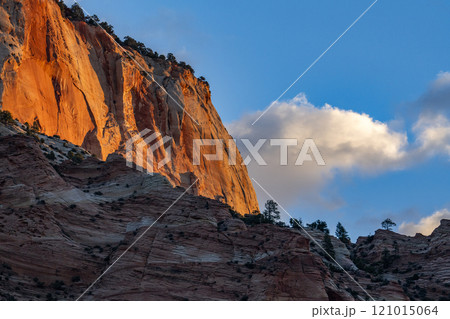 Red rocks in Bryce Canyon National Park in sunlight 121015064