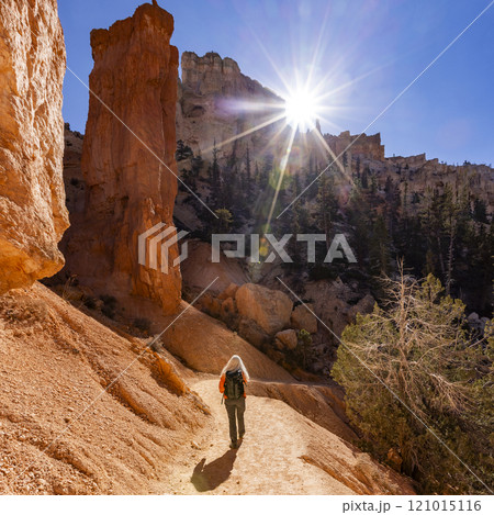 Rear view of woman hiking in Bryce Canyon National Park on sunny day 121015116