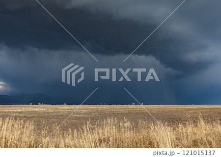 Dark storm clouds over field 121015137