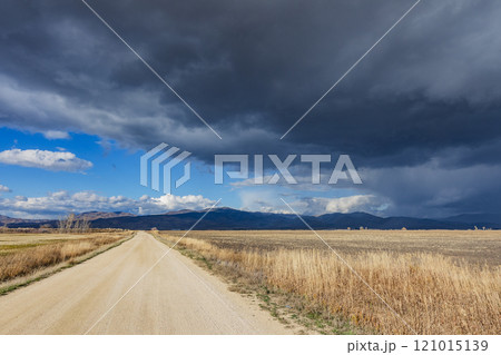 Dark storm clouds over dirt road crossing field Dark storm clouds over dirt road crossing field 121015139