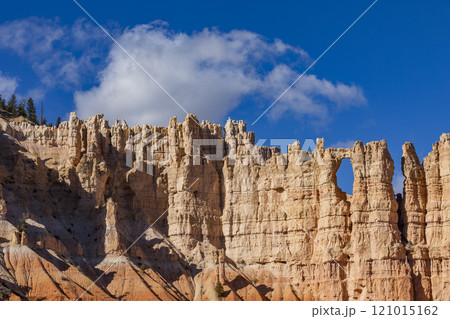 Sandstone rock formations in Bryce Canyon National Park 121015162