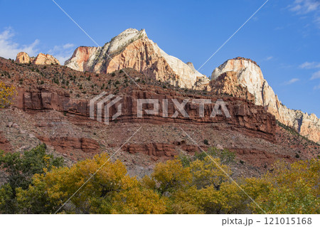 Cliffs and trees in Zion National Park in autumn 121015168