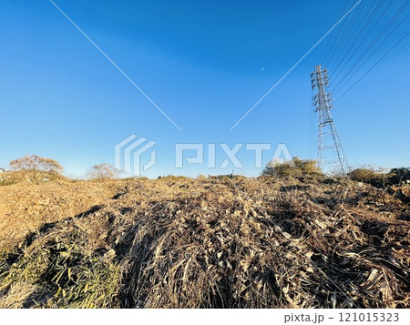 寒さで枯れてしまった野原の草 寒さで枯れてしまった野原の草 121015323