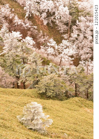 【四国・冬の始まり】石鎚山系 伊予富士の美しい霧氷 【四国・冬の始まり】石鎚山系 伊予富士の美しい霧氷 121015423