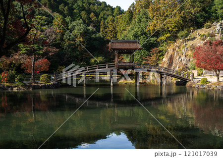国指定名勝 永保寺庭園 紅葉2024　岐阜県多治見市 121017039