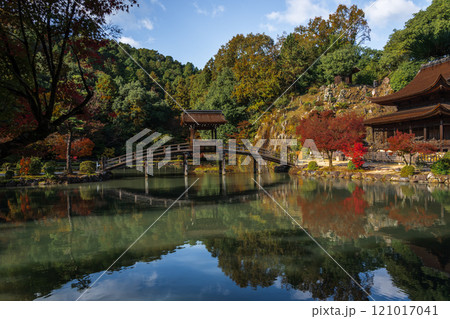 国指定名勝 永保寺庭園 紅葉2024 岐阜県多治見市 国指定名勝 永保寺庭園 紅葉2024 岐阜県多治見市 121017041