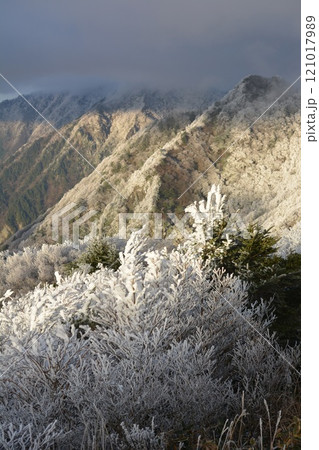 【四国の冬 愛媛県・高知県】山の斜面に咲く霧氷 【四国の冬 愛媛県・高知県】山の斜面に咲く霧氷 121017989