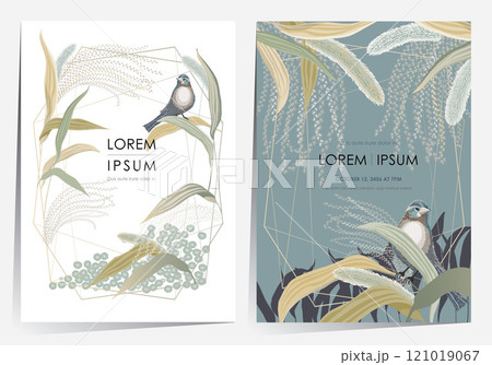 Vector illustration of frame set of a Silver Grass Field with Little Bird   121019067