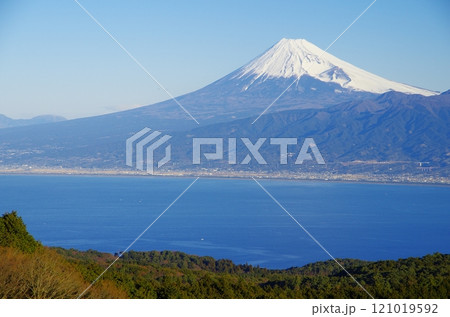 だるま山高原から望む冬の富士 だるま山高原から望む冬の富士 121019592