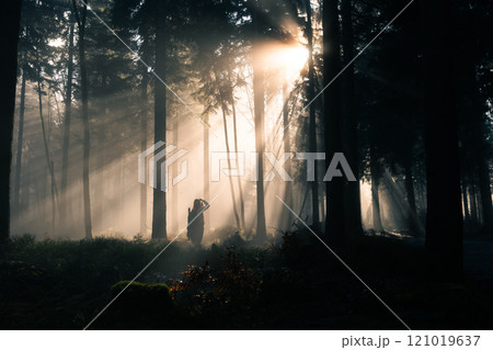Enigmatic Forest Rays A Beautiful and Serene Nature Scene with a female photographer 121019637