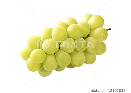 シャインマスカット 1房 切り抜き シャインマスカット 1房 切り抜き 121020384