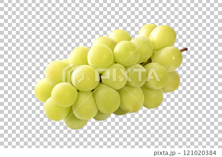 閃耀麝香葡萄 1 束剪紙 閃耀麝香葡萄 1 束剪紙 121020384