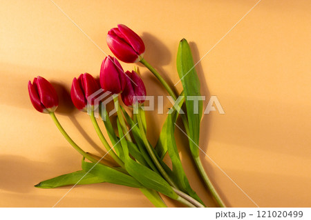 Bunch of red tulips and copy space on orange background Bunch of red tulips and copy space on orange background 121020499