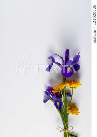 Vertical image of bunch of purple and yellow flowers with copy space on white background Vertical image of bunch of purple and yellow flowers with copy space on white background 121020526