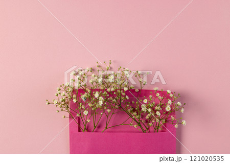 White flowers in pink envelope and copy space on pink background White flowers in pink envelope and copy space on pink background 121020535
