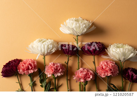 White, red and pink flowers with copy space on orange background White, red and pink flowers with copy space on orange background 121020587